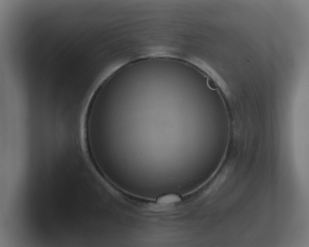 X0000102801285200808251041