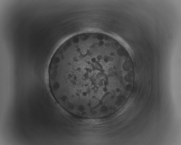 X0000102801287200808251041