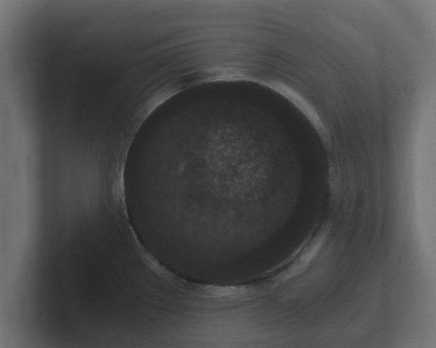 X0000102801289200808251041