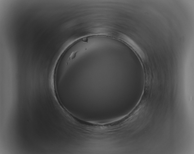 X0000102801291200808251041