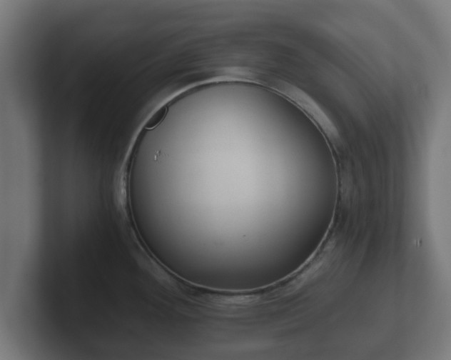 X0000102801292200808251041