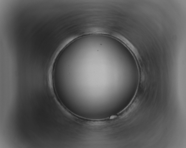 X0000102801293200808251041
