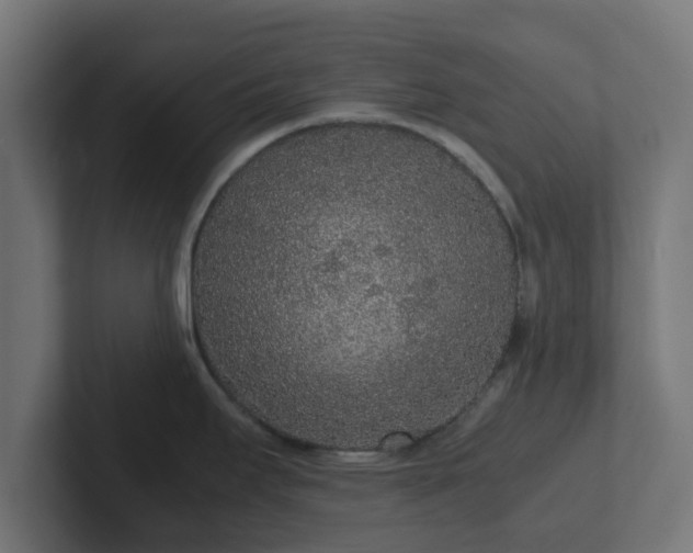 X0000102801295200808251041