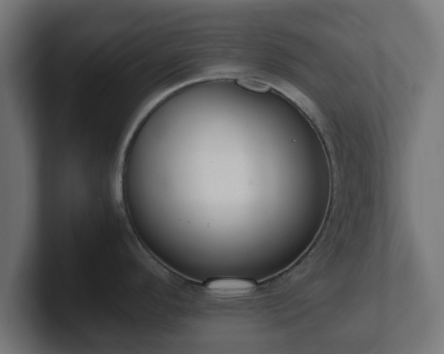 X0000102801296200808251041