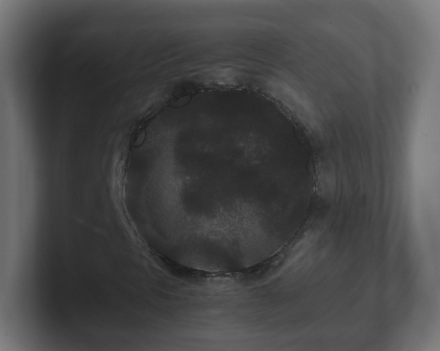 X0000102801297200808251041