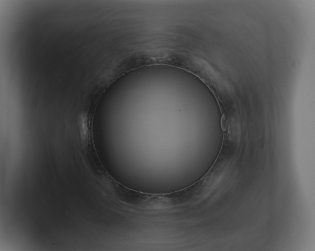 X0000102801298200808251041