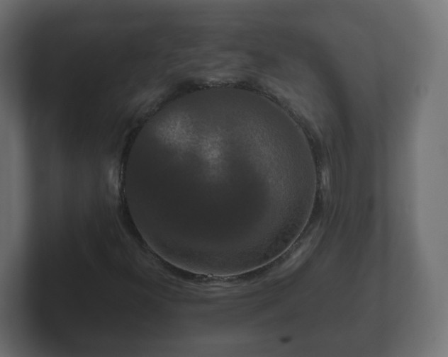 X0000102801300200808251041