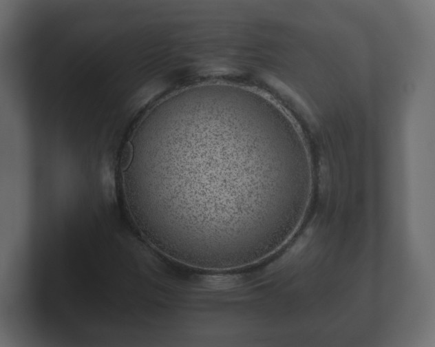 X0000102801305200808251041