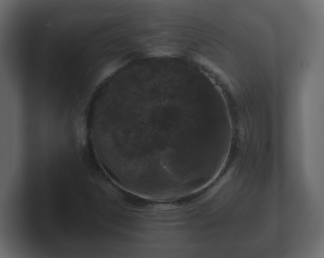 X0000102801306200808251041