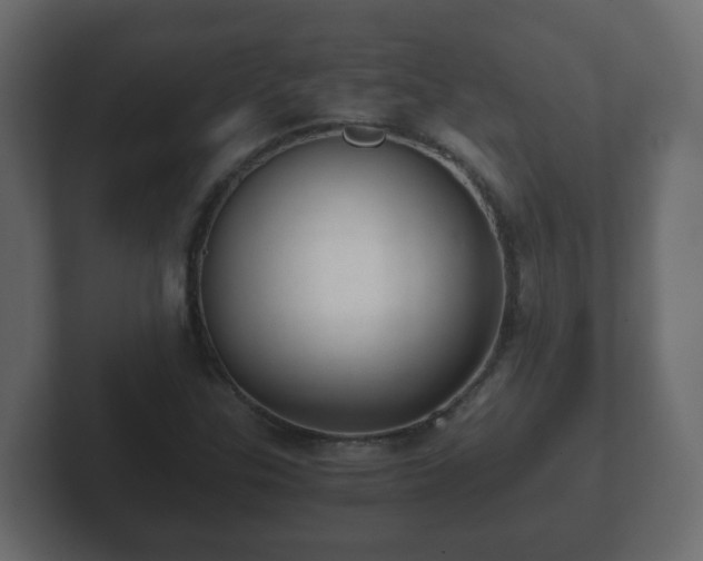 X0000102801307200808251041