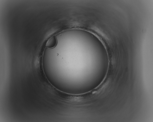 X0000102801309200808251041