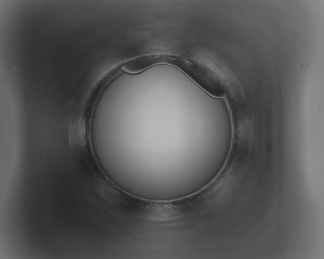 X0000102801310200808251041