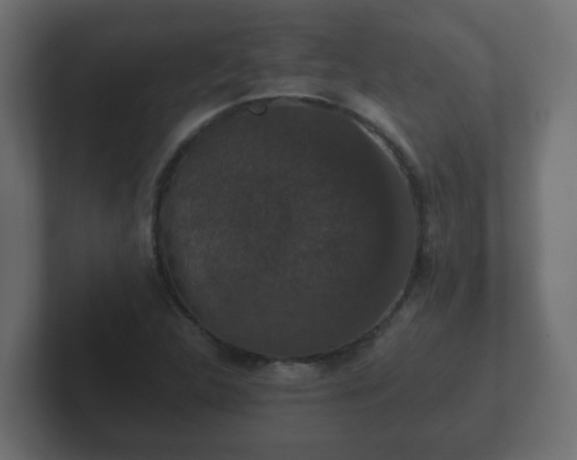 X0000102801312200808251041