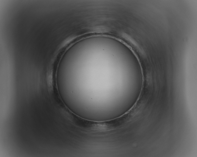 X0000102801315200808251041