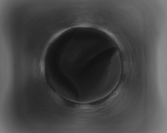 X0000102801319200808251041