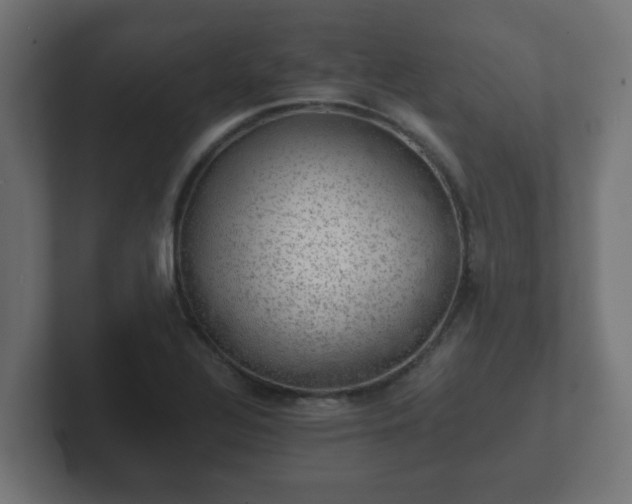 X0000102801320200808251041
