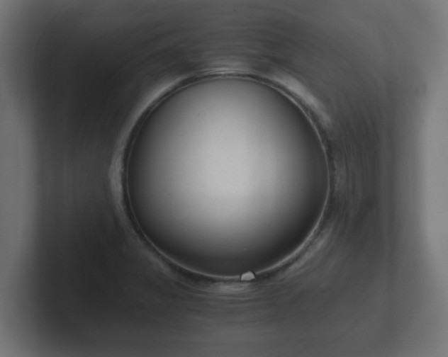 X0000102801325200808251041