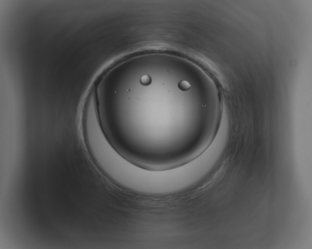 X0000102801326200808251041