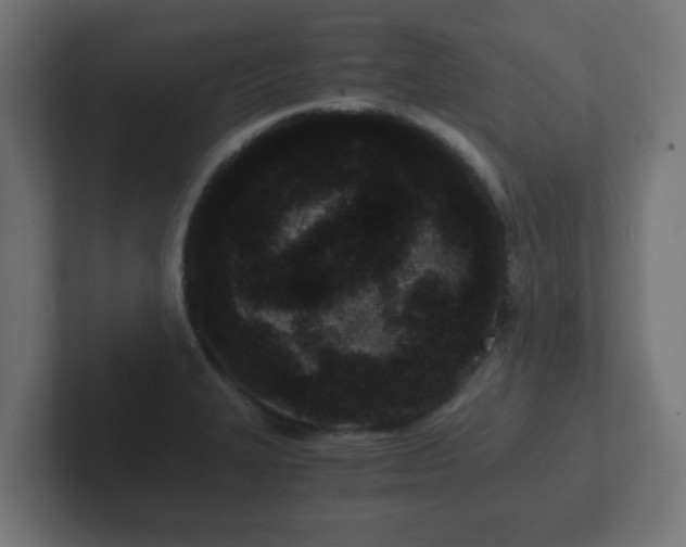 X0000102801327200808251041