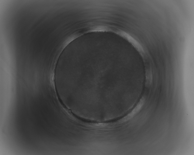 X0000102801329200808251041
