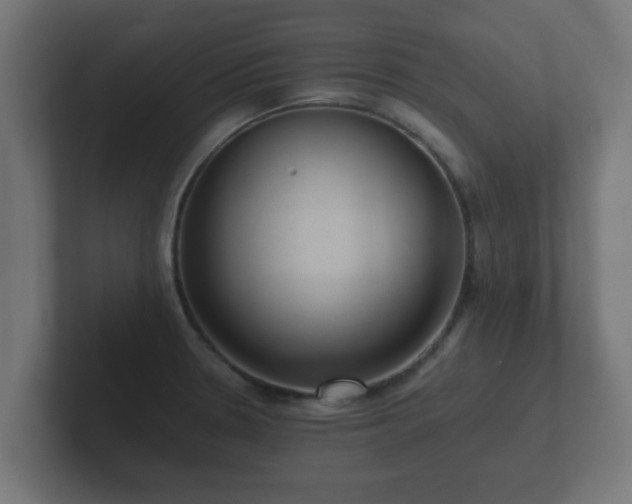 X0000102801330200808251041