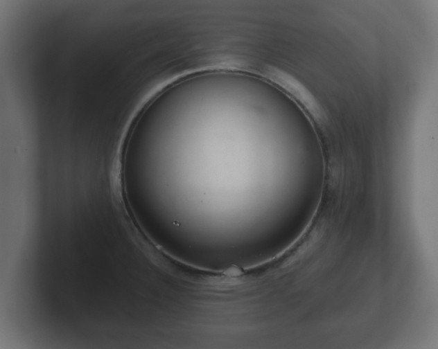 X0000102801332200808251041