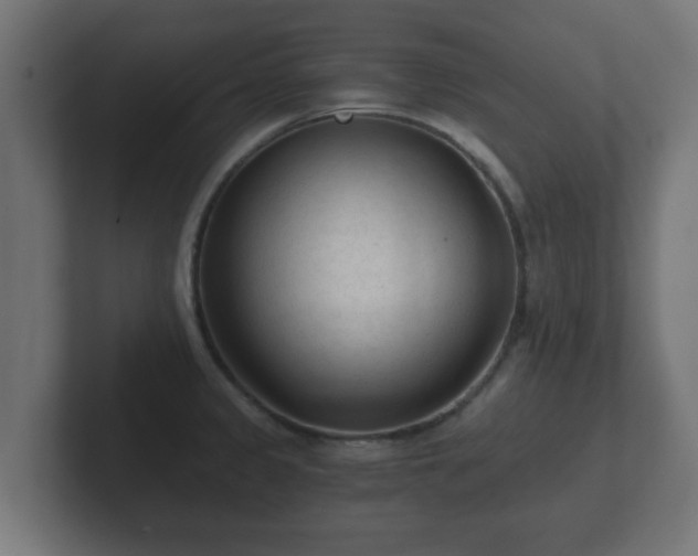 X0000102801333200808251041