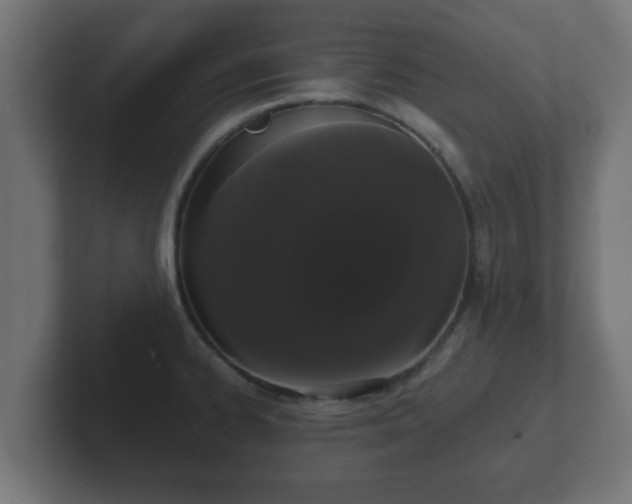 X0000102801334200808251041