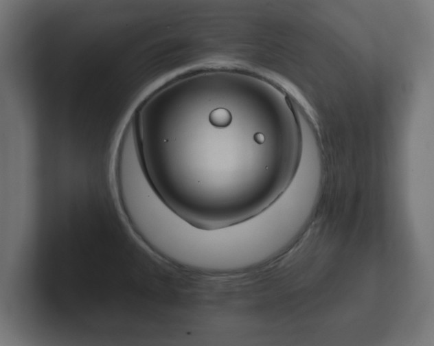 X0000102801335200808251041