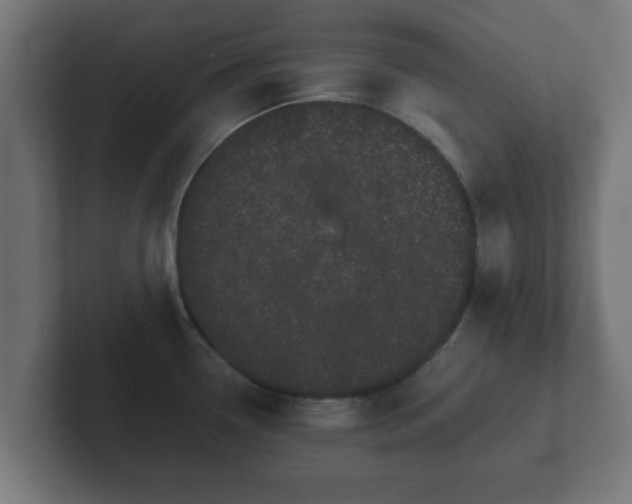 X0000102801338200808251041