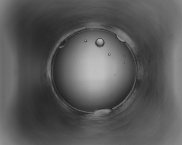X0000102801342200808251041