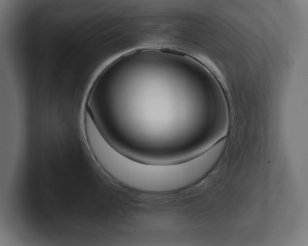 X0000102801344200808251041
