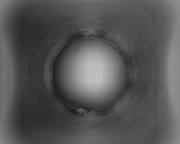X0000102801345200808251041