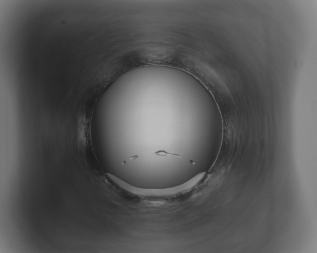 X0000102801346200808251041