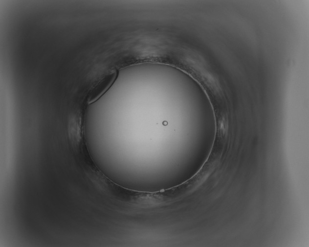 X0000102801348200808251040