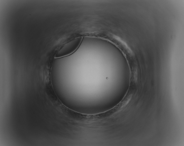 X0000102801350200808251040