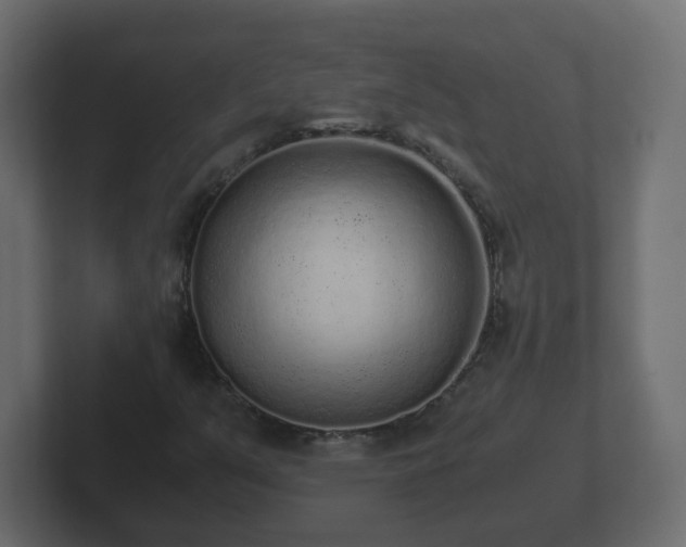 X0000102801351200808251040