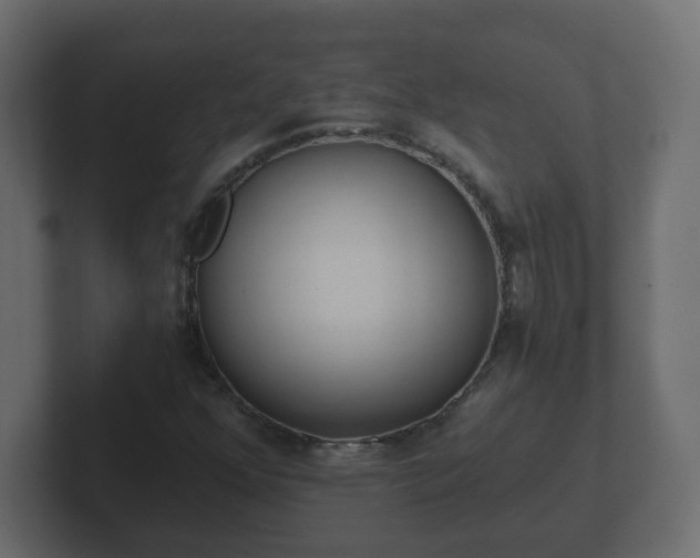 X0000102801352200808251040