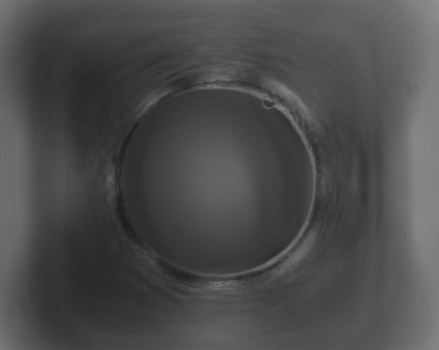 X0000102801353200808251040