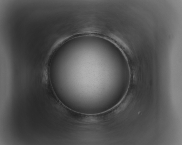 X0000102801358200808251040