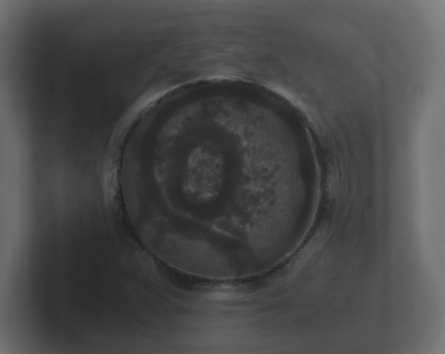 X0000102801359200808251040