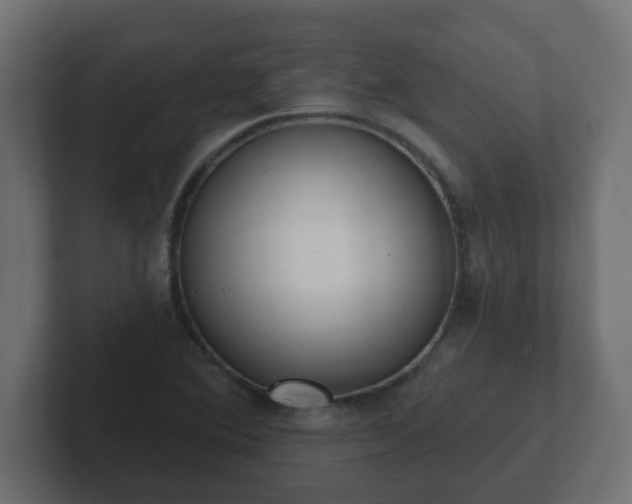 X0000102801364200808251040