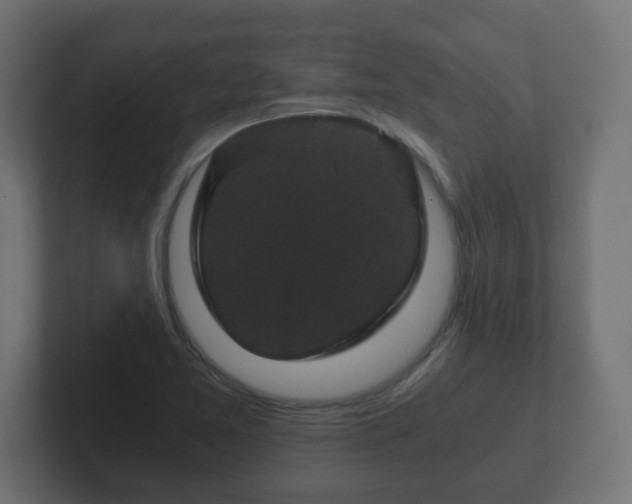 X0000102801365200808251040