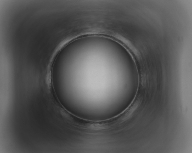X0000102801366200808251040