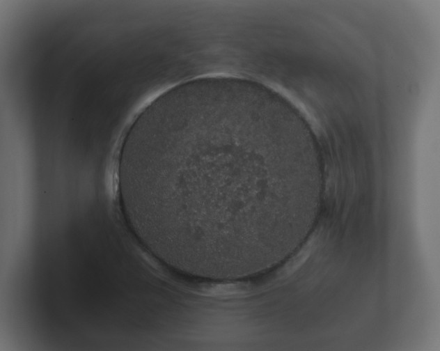 X0000102801367200808251040