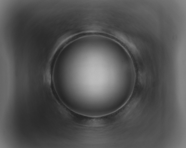 X0000102801368200808251040