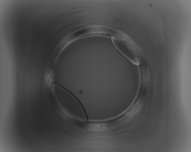 X0000102801369200808251040