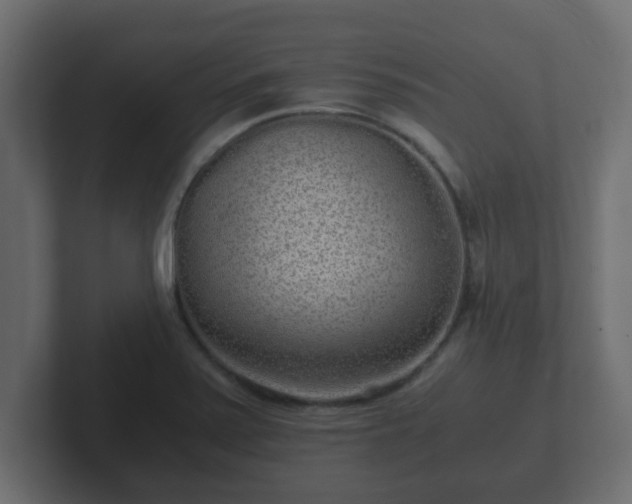 X0000102801371200808251040