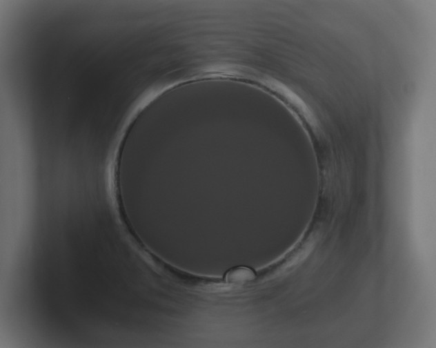X0000102801373200808251040