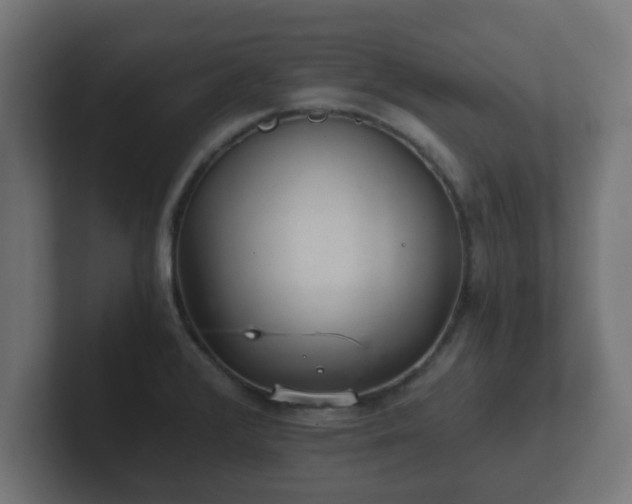 X0000102801376200808251040